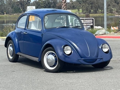 1969 Volkswagen Beetle for sale