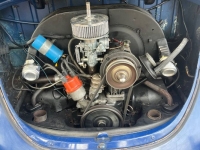 1969 Volkswagen Beetle for sale in Michigan (ID-140819)