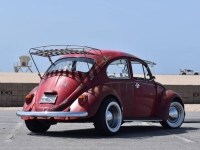 1969 Volkswagen Beetle for sale in Michigan (ID-141653)