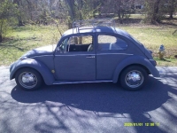1969 Volkswagen Beetle for sale in Michigan (ID-141783)