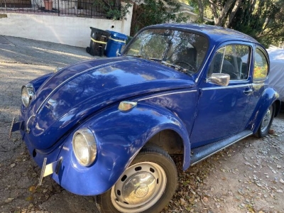 1969 Volkswagen Beetle for sale