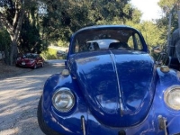 1969 Volkswagen Beetle for sale in Michigan (ID-142403)