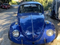 1969 Volkswagen Beetle for sale in Michigan (ID-142403)
