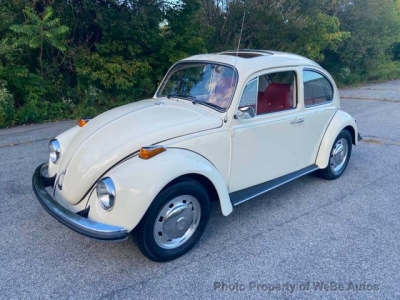 1969 Volkswagen Beetle for sale