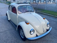 1969 Volkswagen Beetle for sale in Wind Gap, Pennsylvania (ID-145036)
