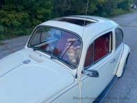 1969 Volkswagen Beetle for sale in Wind Gap, Pennsylvania (ID-145036)