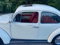 1969 Volkswagen Beetle for sale in Wind Gap, Pennsylvania (ID-145036)