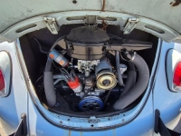 1969 Volkswagen Beetle for sale in Michigan (ID-145485)