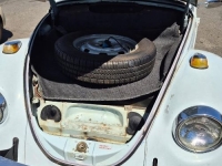 1969 Volkswagen Beetle for sale in Michigan (ID-145485)