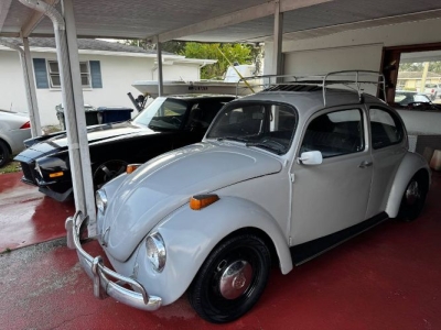 1969 Volkswagen Beetle for sale