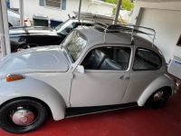 1969 Volkswagen Beetle for sale in Michigan (ID-156229)