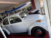 1969 Volkswagen Beetle for sale in Michigan (ID-156229)