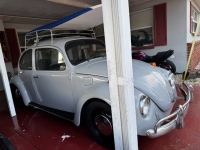 1969 Volkswagen Beetle for sale in Michigan (ID-156229)