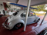 1969 Volkswagen Beetle for sale in Michigan (ID-156229)