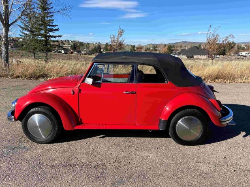 1969 Volkswagen Beetle for sale in Michigan (ID-161512)