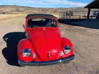1969 Volkswagen Beetle for sale in Michigan (ID-161512)