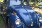 1970 Volkswagen Beetle for sale in Lexington-Fayette, Kentucky (ID-4917)