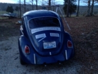1970 Volkswagen Beetle for sale in Lexington-Fayette, Kentucky (ID-4917)