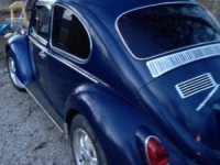 1970 Volkswagen Beetle for sale in Lexington-Fayette, Kentucky (ID-4917)