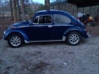 1970 Volkswagen Beetle for sale in Lexington-Fayette, Kentucky (ID-4917)