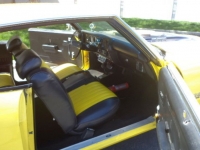 1970 Chevrolet Chevelle for sale in Michigan (ID-89809)
