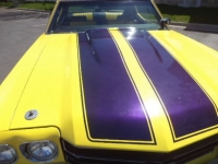 1970 Chevrolet Chevelle for sale in Michigan (ID-89809)