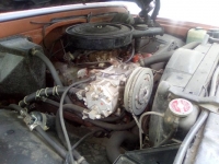 1970 Chevrolet C20 for sale in Michigan (ID-92247)