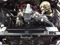 1970 Chevrolet Chevelle SS for sale in Las Vegas, Nevada (ID-109439)