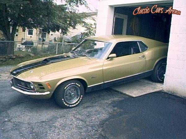 1970 Ford Mustang Mach 1 for sale in Pennsylvania (ID-35038)