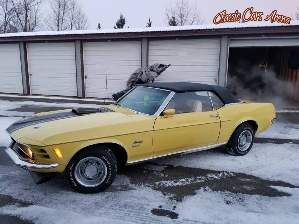 1970 Ford Mustang Mach 1 for sale in Michigan (ID-36270)