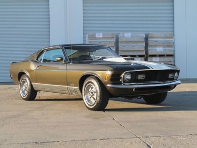 1970 Ford Mustang for sale