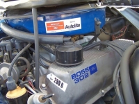 1970 Ford Mustang for sale in Michigan (ID-91755)