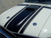 1970 Ford Mustang for sale in Michigan (ID-91755)