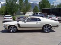1970 Ford Mustang for sale in Michigan (ID-91755)