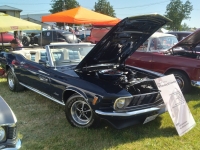 1970 Ford Mustang for sale in Newmarket, Ontario (ID-119810)