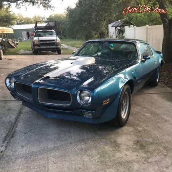 1970 Pontiac Firebird for sale in Michigan (ID-45611)