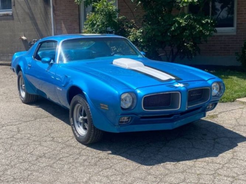 1970 Pontiac Firebird for sale in Michigan (ID-90497) 1970 Pontiac Firebird for sale in Michigan (ID-90497)