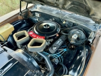 1970 Buick GS for sale in Michigan (ID-156250)