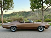 1970 Buick GS for sale in Michigan (ID-156250)