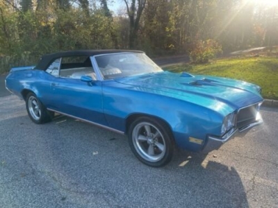 1970 Buick Skylark for sale