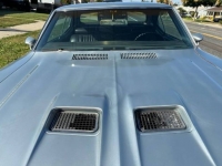 1970 Buick Skylark for sale in Michigan (ID-124811)