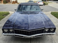1970 Buick Skylark for sale in Michigan (ID-141599)