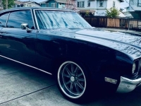 1970 Buick Skylark for sale in Michigan (ID-141599)