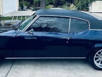 1970 Buick Skylark for sale in Michigan (ID-141599)