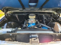1970 Chevrolet C10 for sale in Michigan (ID-119528)