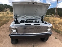 1970 Chevrolet C10 for sale in Michigan (ID-125647)
