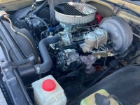 1970 Chevrolet C10 for sale in Michigan (ID-144408)