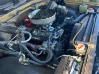 1970 Chevrolet C10 for sale in Michigan (ID-144408)