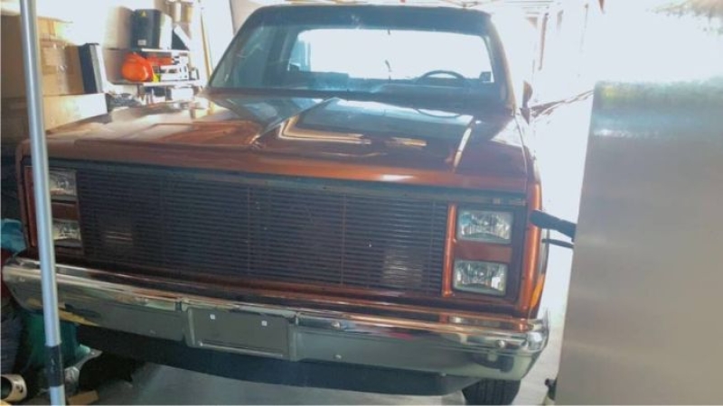 1970 Chevrolet C10 for sale in Michigan (ID-161321)