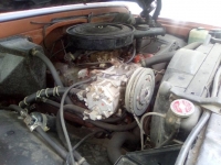 1970 Chevrolet C20 for sale in Michigan (ID-102954)